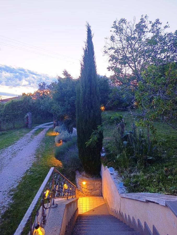 Chambre d’hôte pour 2 personnes, avec vue sur le lac et terrasse ainsi que vue et jardin, animaux acceptés à Bolsena - 4