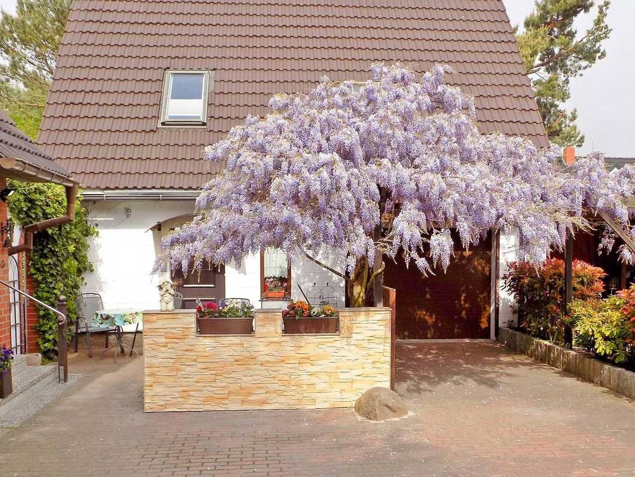 Ferienwohnung in Usedom ab 115€ pro Nacht