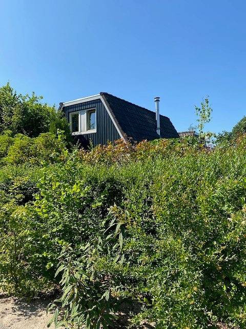Bungalowpark Mooyeveld — Dünenbungalow 120 für 5 Personen in Egmond-Binnen, Niederländische Nordsee