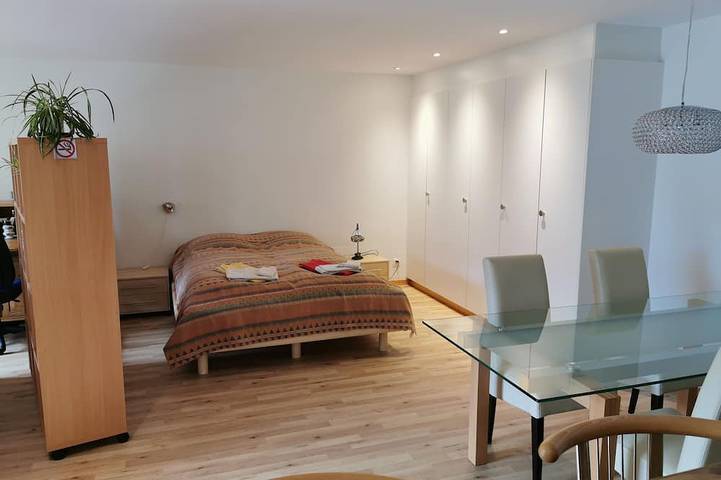 Ganze Wohnung, Geräumiges 1-Raum Apartment mit Küche, separatem Badezimmer, kein Parken am Haus in Horw, Vierwaldstättersee