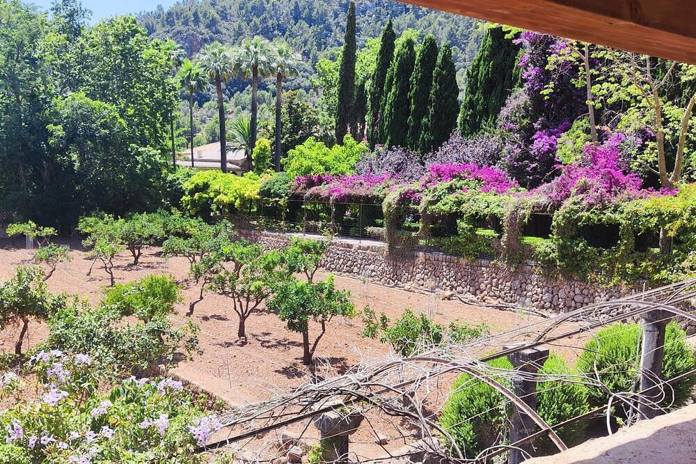 Ganze Wohnung, Kleine Wohnung kein Schnickschnack in Lämmerspiel, Mühlheim am Main