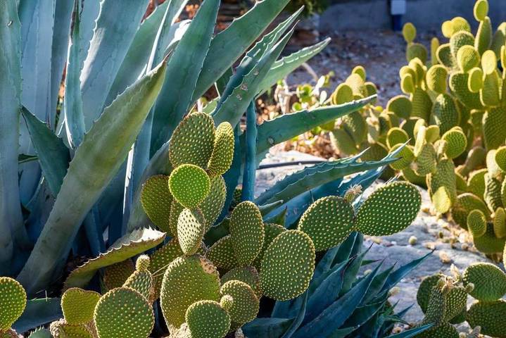 Maison d’hôte pour 2 personnes, avec vue et piscine ainsi que jardin et terrasse dans Syros - 3