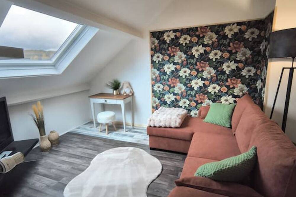 Apartamento entero, Gîte : 4 pers, 2 bedrooms, 2 bathrooms with wellness area in La Flèche, Sarthe