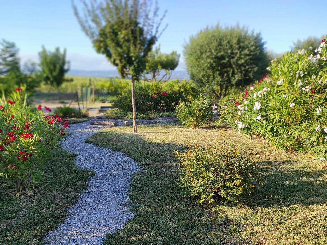 Ganze Wohnung, Schöne Ferienwohung beim mittelalterlichen Stadt in Montréal (Aude), Carcassonne und Umgebung