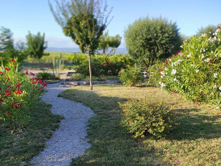 Gîte pour 3 personnes, avec jardin ainsi que terrasse et piscine à Montréal (Lanquedoc-Roussillon) - 4