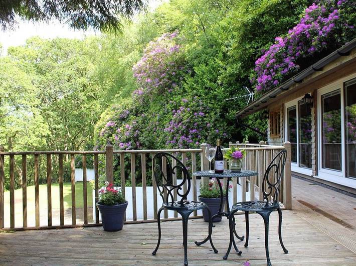 Treetops in Martinhoe, Exmoor