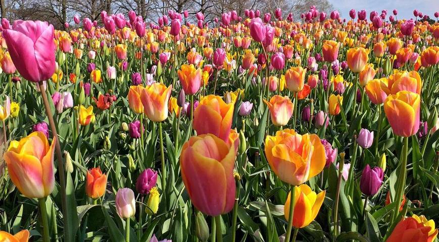 Auberge pour 2 personnes, avec vue et terrasse