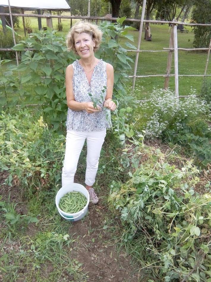 Location de vacances pour 2 personnes, avec terrasse et jardin à Kruth - 3