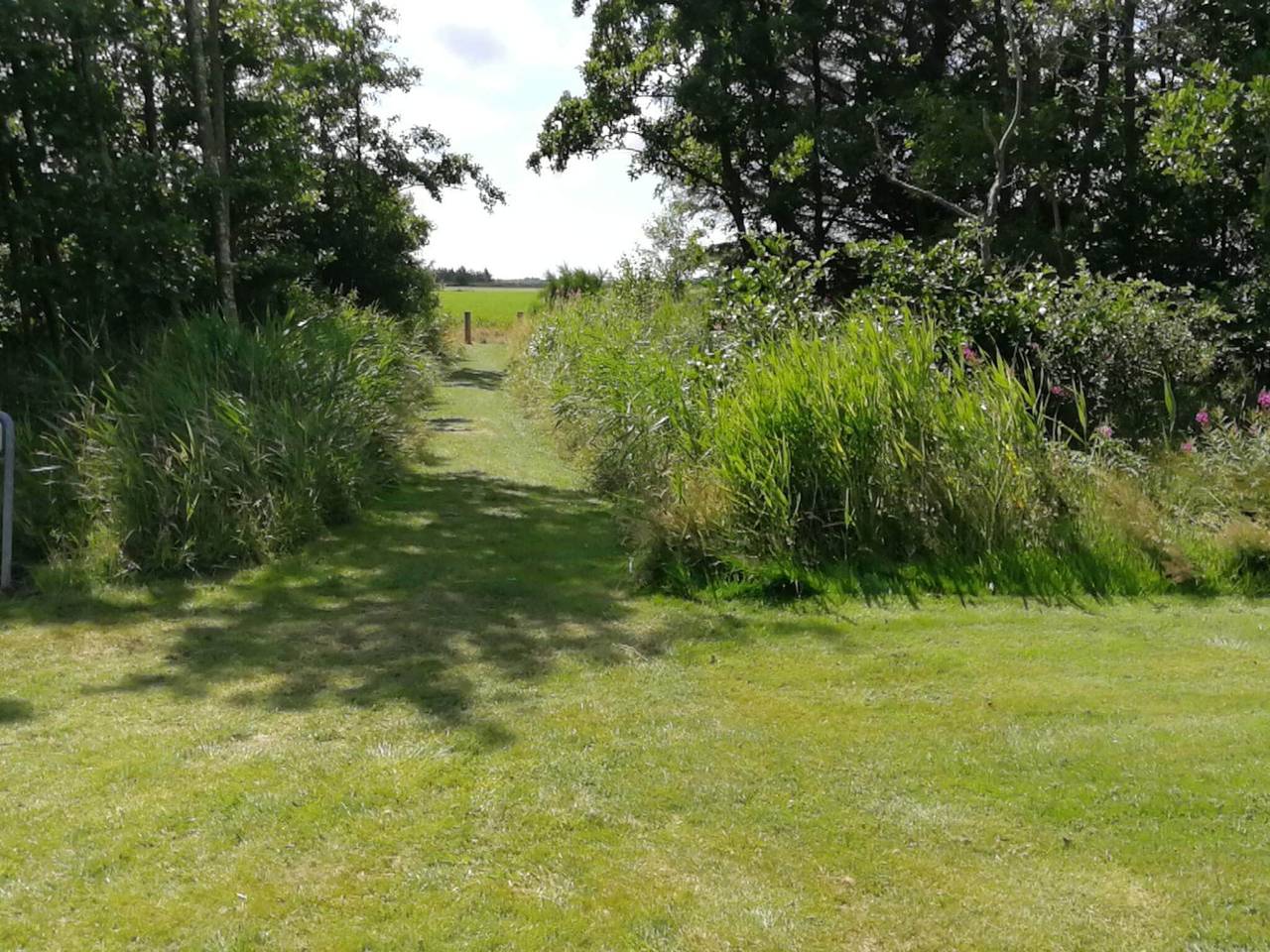5 Personen Ferienhaus in Hemmet in Bork Havn, Ringkøbing Fjord