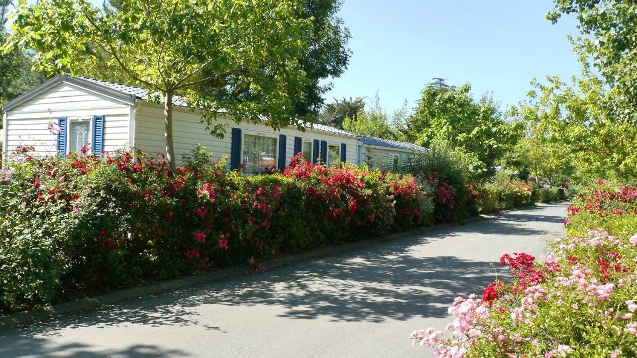 Bungalow Vacances in Biot, Côte méditerranéenne (France)