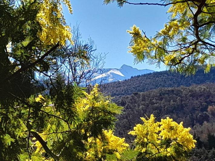 Location de vacances pour 2 personnes, avec jardin ainsi que terrasse et vue, animaux acceptés à Mosset