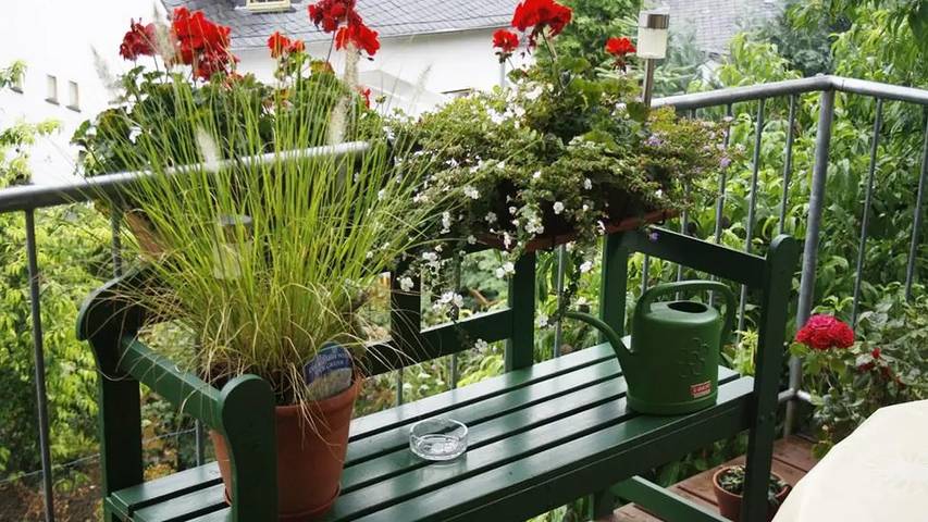 Ferienwohnung für 2 Personen, mit Garten an der Burg Eltz - 2