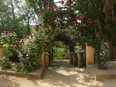 Casa de vacaciones para 8 personas en Aragón - 3