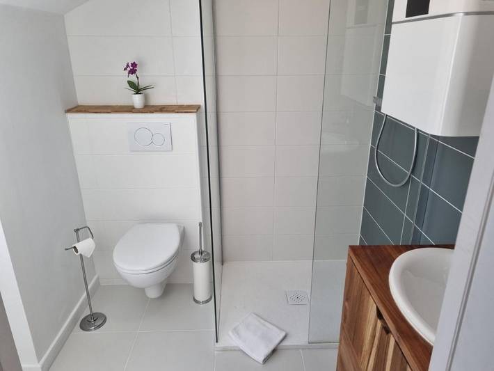 Gîte pour 3 personnes, avec terrasse, animaux acceptés à Redon - 4