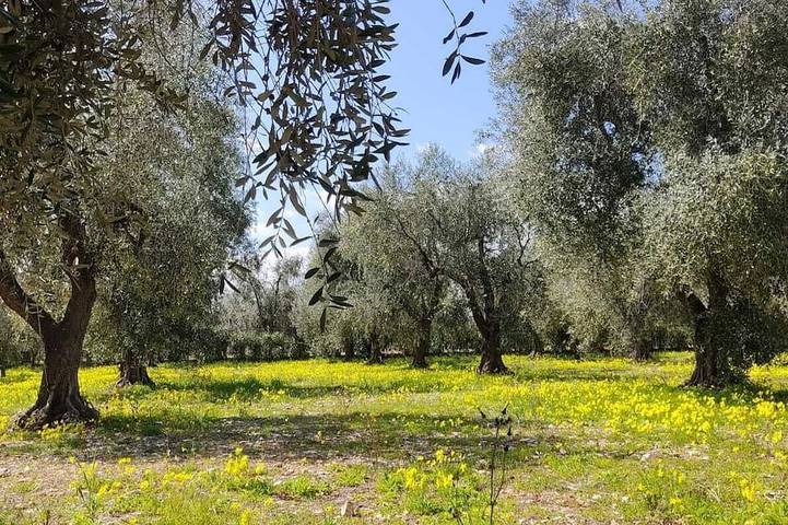 Appartamento vacanze per 5 persone, con giardino, con animali domestici - 1