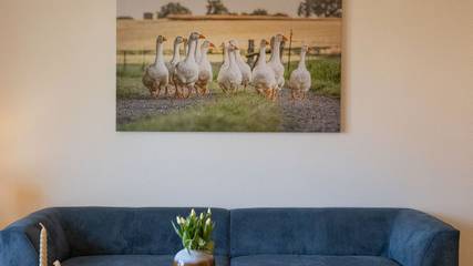 Ferienwohnung für 4 Personen in Ratekau, Südliche Ostseeküste, Bild 2