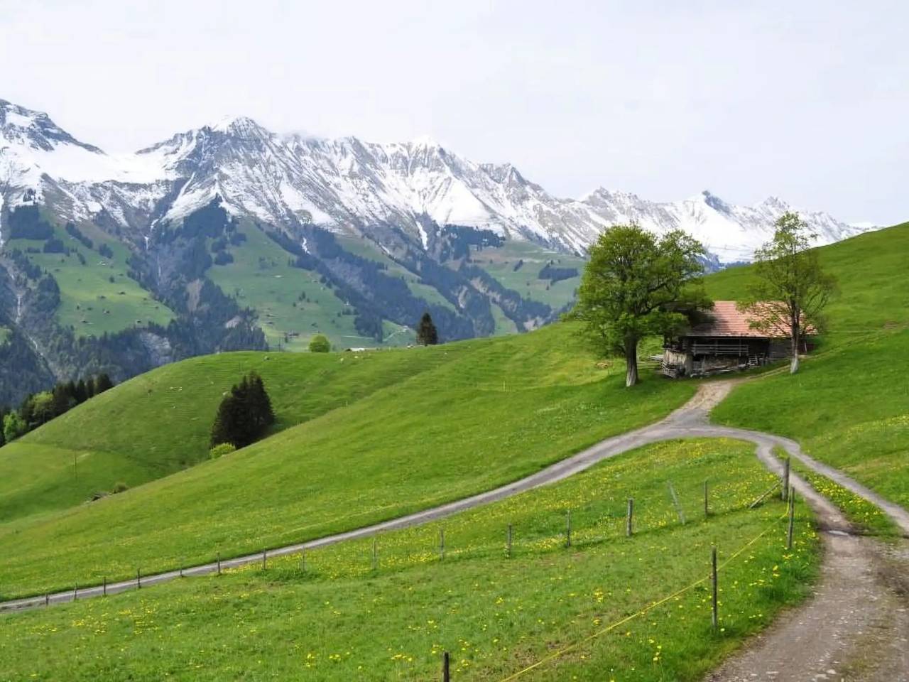 Ganze Wohnung, 5 Pièces 8 Personnes in Frutigen, Frutigen - Lenk - Adelboden