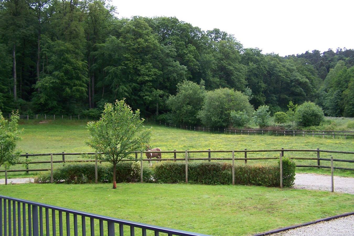 Chalet type "Norvégien" in Villeneuve-en-Perseigne, Parc naturel régional Normandie-Maine