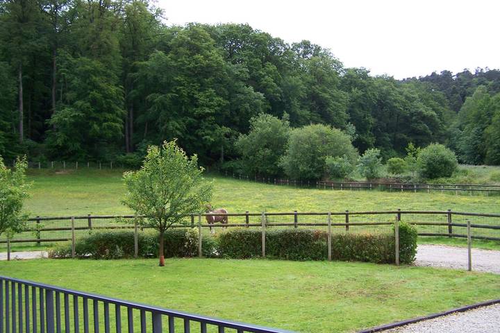 Chalet pour 4 personnes, avec terrasse, animaux acceptés dans la Sarthe - 3