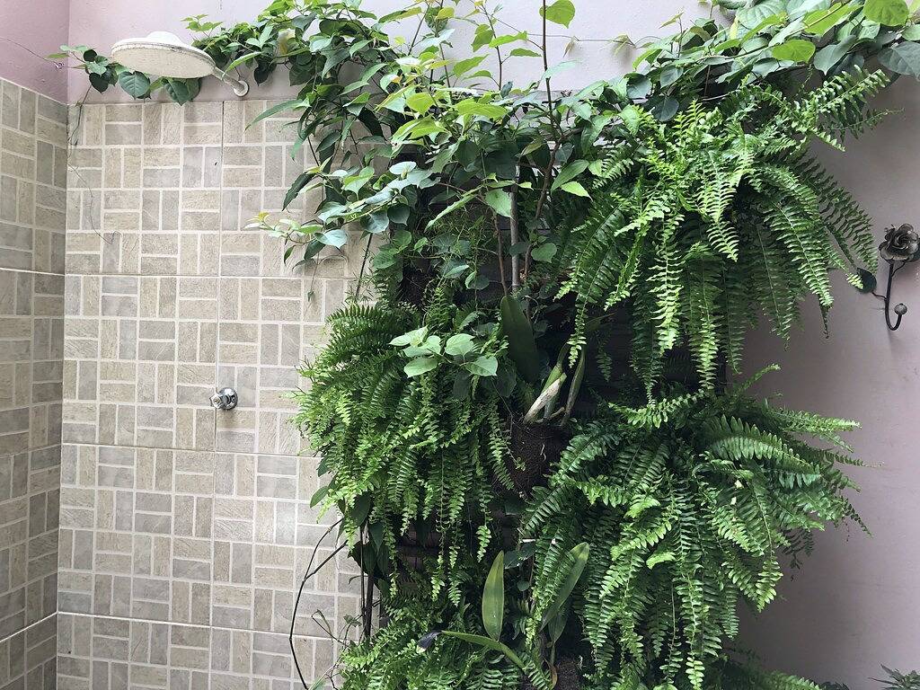 \"Gemütliches Haus in Paraty\" in Paraty, Costa Verde (Rio de Janeiro)