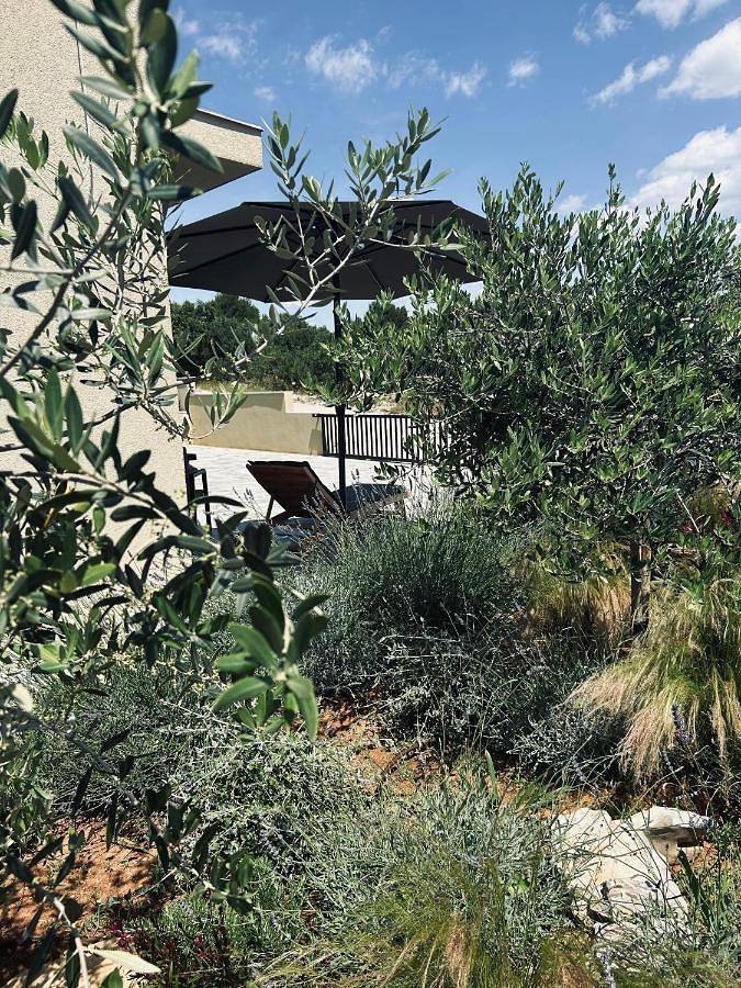 Villa pour 4 personnes, avec vue et jardin, animaux acceptés à Jezera - 4