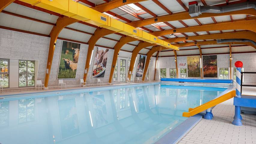 Bungalow voor 4 personen, met zwembad en terras in Borger