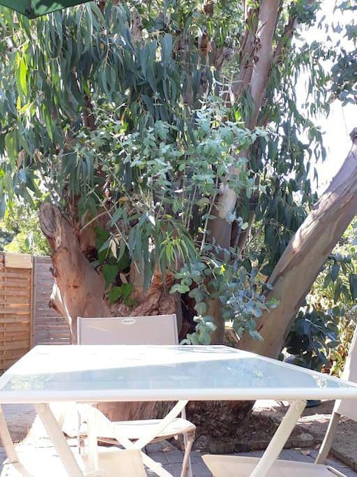 Gîte pour 2 personnes, avec Terrasse et Jardin à Canale-di-Verde - 3