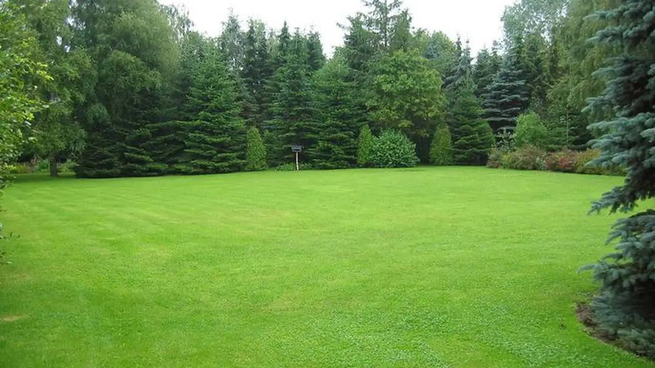 Ganze Ferienwohnung, Ferienwohnung für 2 Personen (45 m²) in Kappeln in Rabel, Kappeln & Umgebung