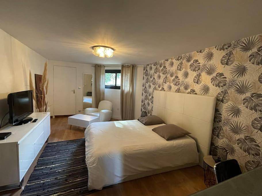 Villa 250 m2, piscine à 10 minutes de Toulouse in Montrabé, Toulouse et ses environs