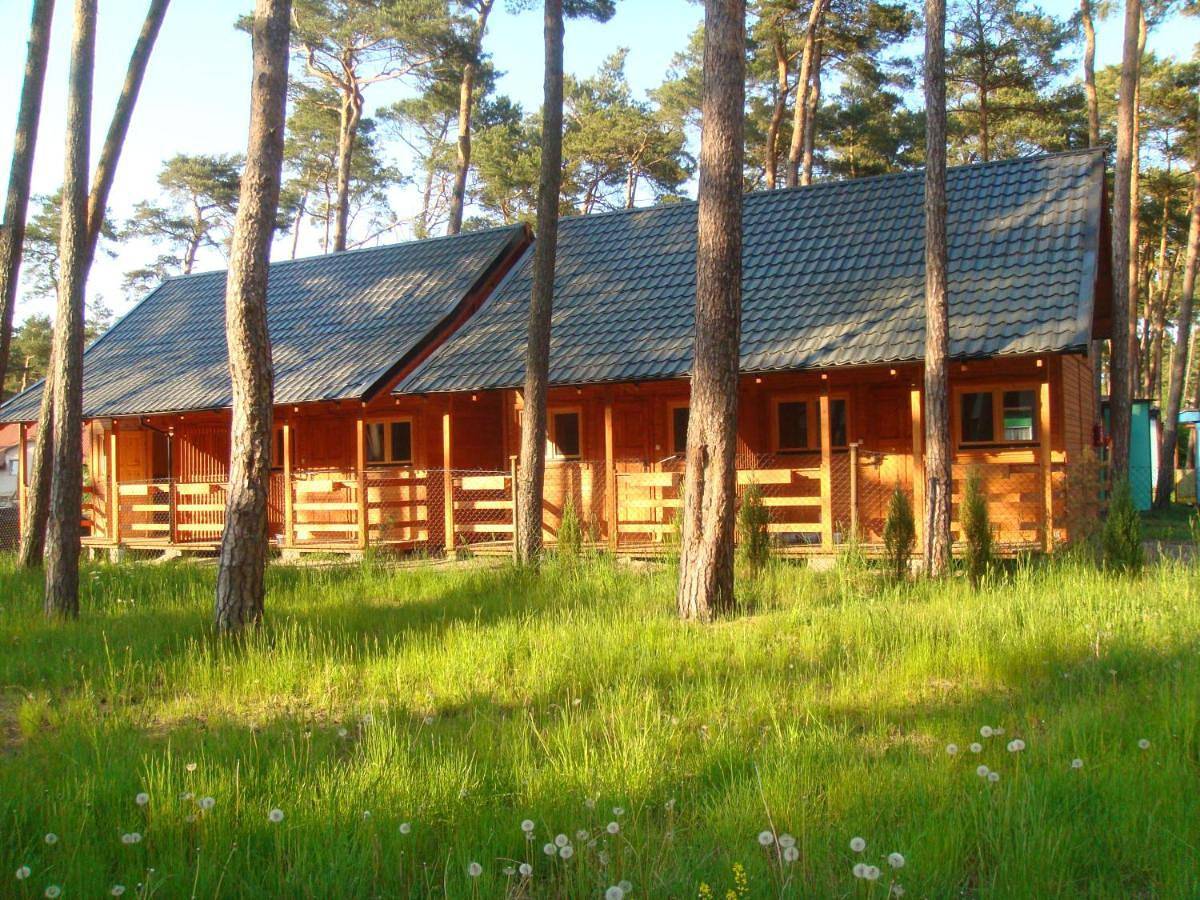 Ow Gabi in Międzywodzie, Baltic Sea Pomerania