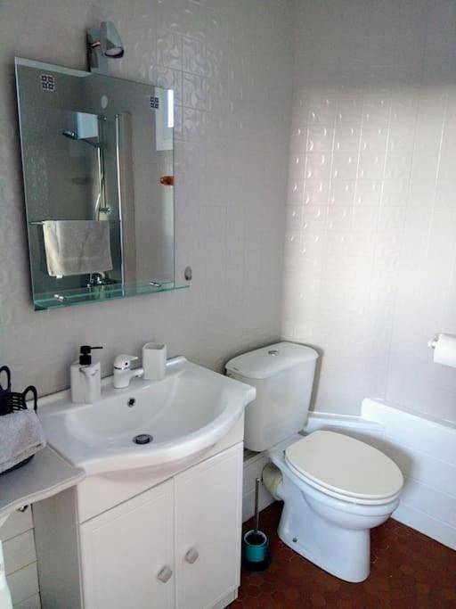 Appartement entier, Apartment with Lake View in Chinon, Vallée de la Loire