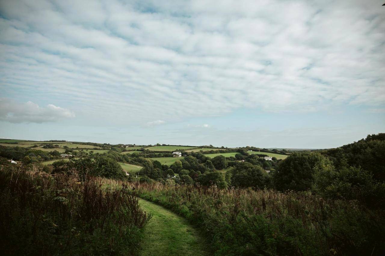Willow Valley in Cornwall