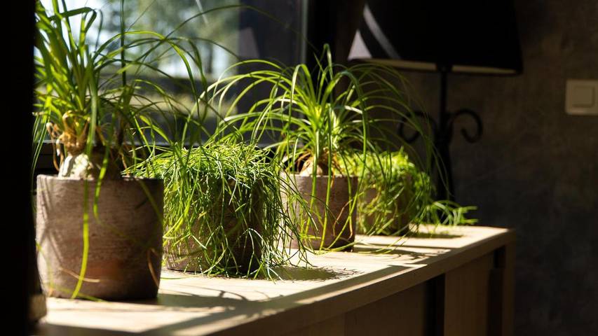 Location de vacances pour 4 personnes, avec jardin ainsi que jacuzzi et piscine à Signy-le-Petit - 2