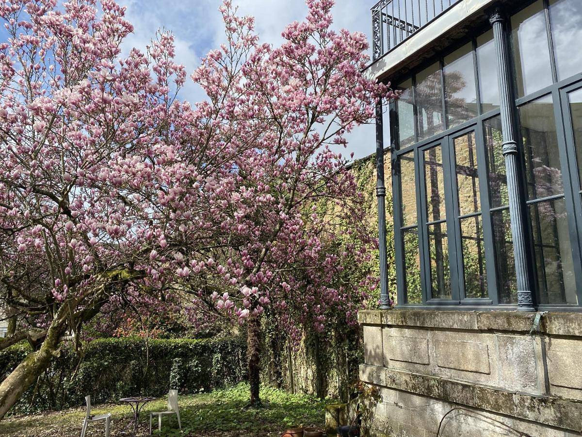 Appartement entier, La Villa Beaupeyrat in Limoges, Région de Limoges