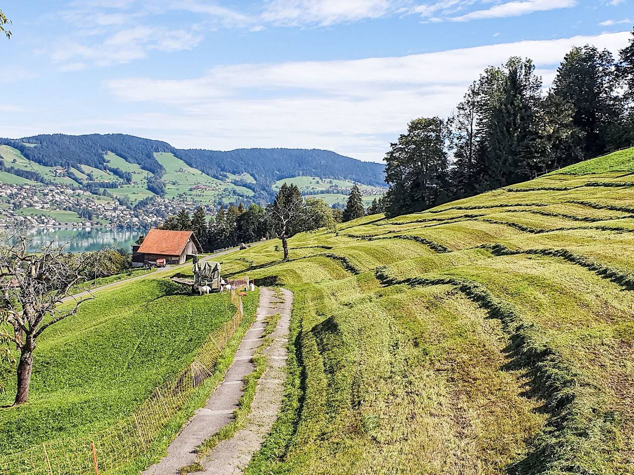 Ganze Wohnung, Fruehalp in Unterägeri, Kanton Zug