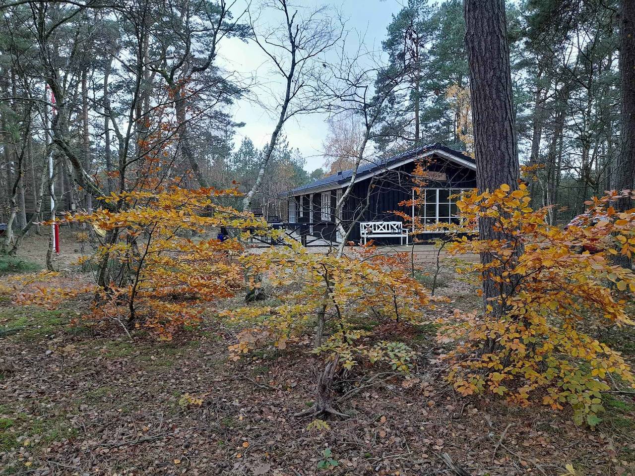 Holiday home in the forest, close to water. in Als Odde, Hadsund