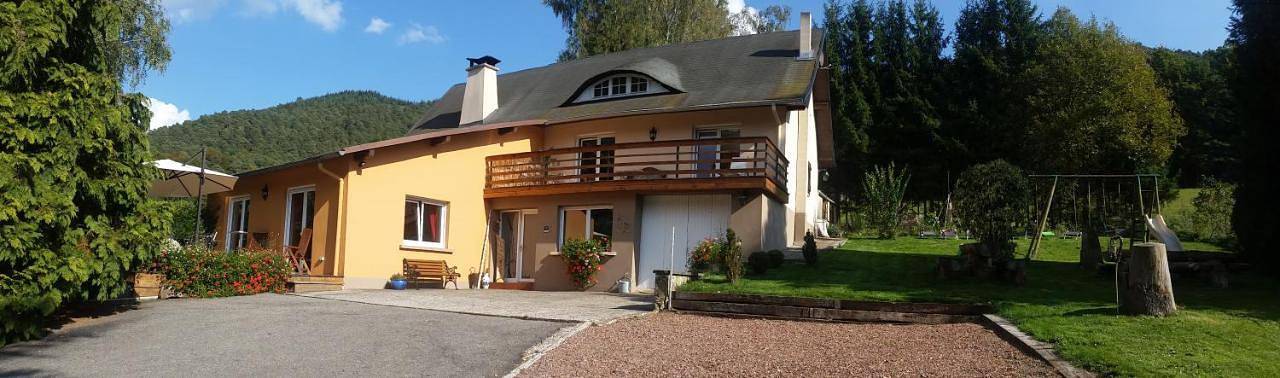 Location de vacances pour 14 personnes, avec jardin et vue, animaux acceptés à Dambach (homonymie) - 4