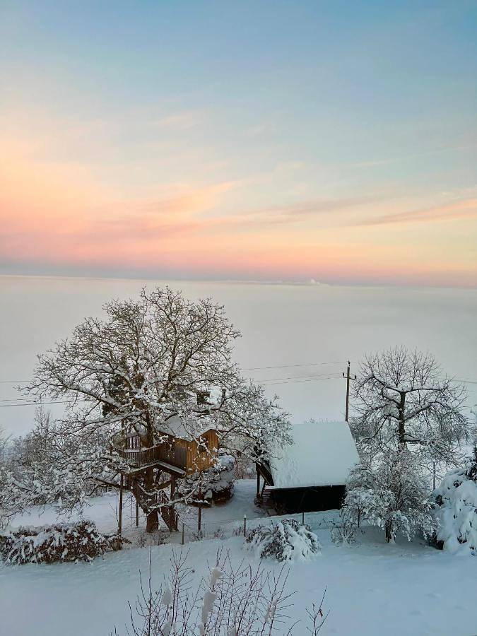 Ferienwohnung für 2 Personen, mit Balkon und Ausblick in Gmunden - 2