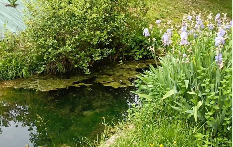 Location de vacances pour 8 personnes, avec vue et jardin à Puybegon - 2