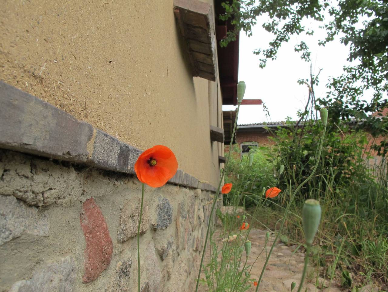 Lehmkloster - Einzelzimmer Augustina in Ganzlin, Ludwigslust-Parchim