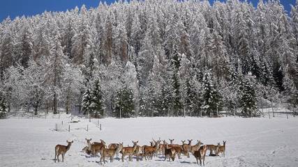 Chalet für 8 Personen in Heiligenblut, Großglockner, Bild 3