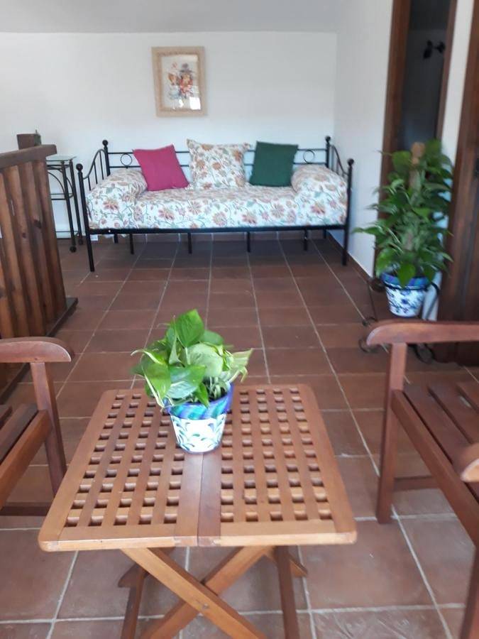 Landhaus für 11 Personen, mit Pool und Ausblick sowie Garten, mit Haustier in Conil de la Frontera - 2