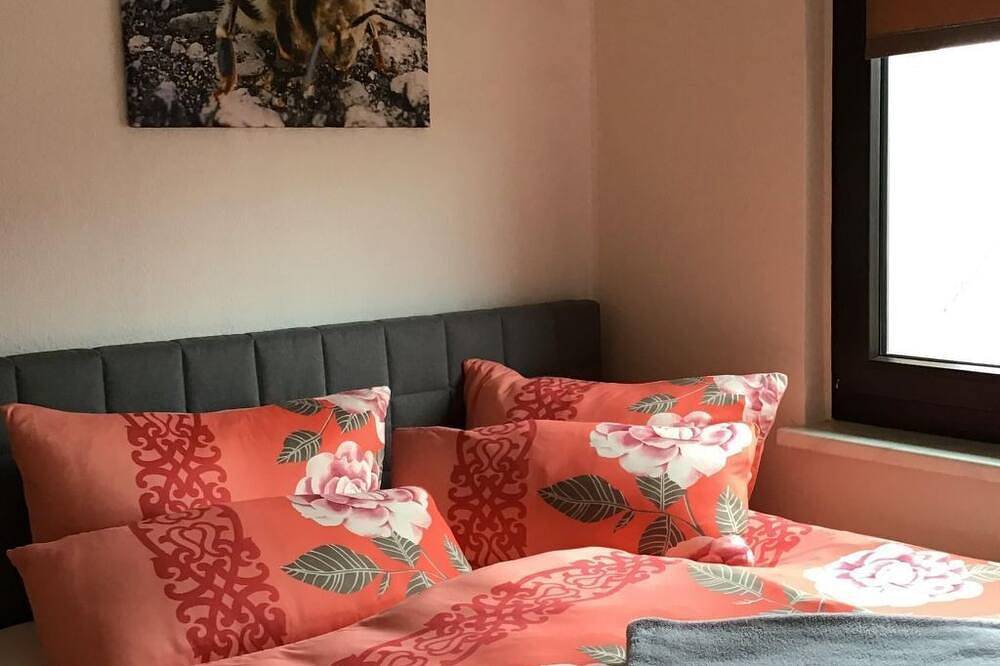 Ganze Wohnung, Auf der Sonnenseite in Zwota, Klingenthal