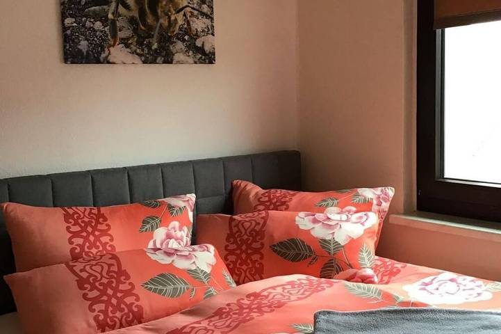 Ganze Wohnung, Auf der Sonnenseite in Zwota, Klingenthal