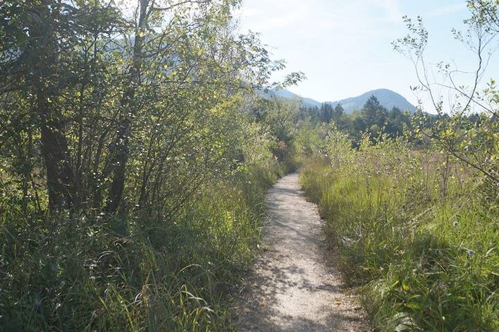 Ferienwohnung für 3 Personen, mit Balkon und Garten, kinderfreundlich in Übersee - 2
