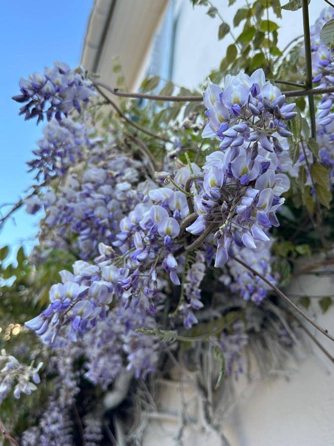 Chambre d’hôte pour 2 personnes, avec terrasse et jardin, animaux acceptés dans Parc naturel régional du Doubs Horloger - 4