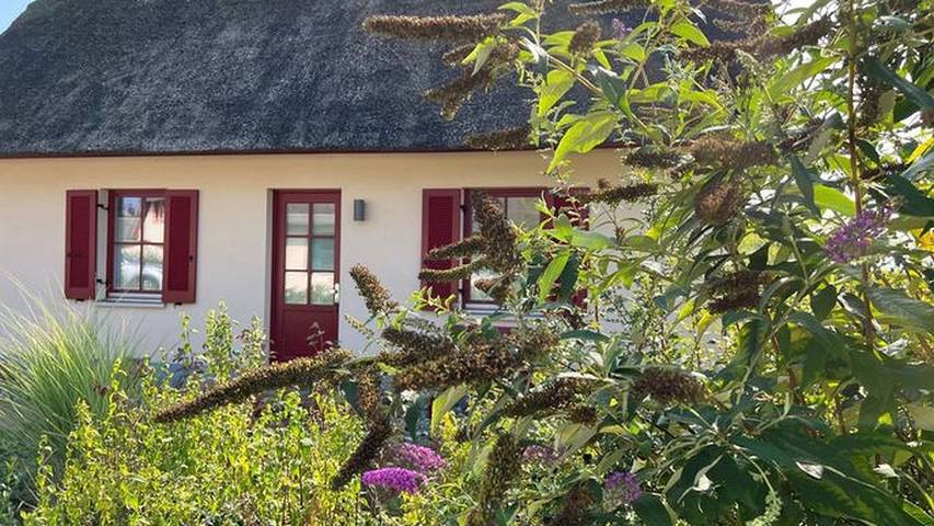 Ferienhaus für 3 Personen, mit Terrasse und Garten sowie Sauna in Wismarer Bucht