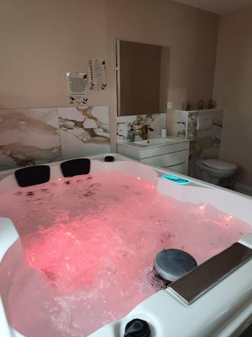 Gîte pour 3 personnes, avec jardin et jacuzzi à Pruniers-en-Sologne