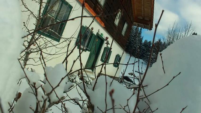 Ferienhaus für 10 Personen, mit Garten in Abtenau - 4