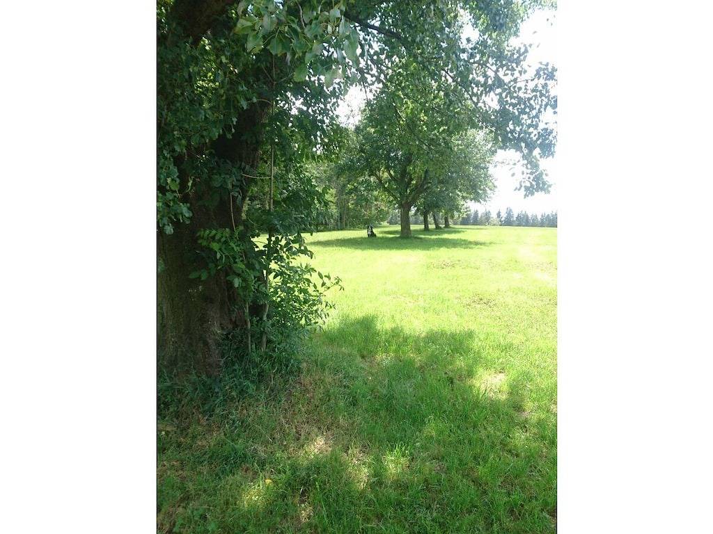 Ferienhaus mit 2 Schlafzimmer in Buchenberg, Bayerisch Schwaben